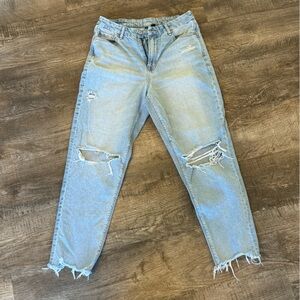 AE Curvy Mom Jeans
